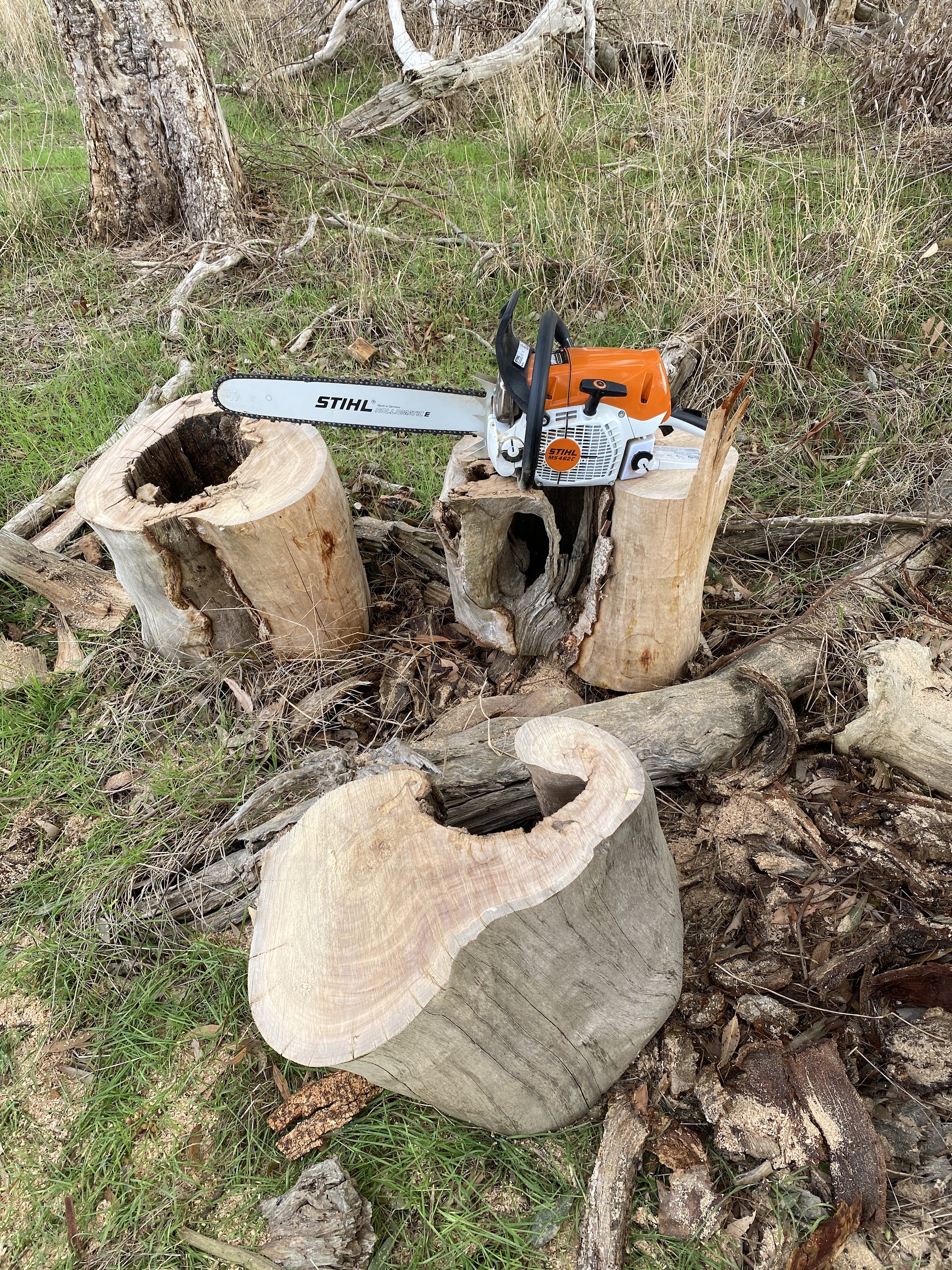 A Stihl MS 462 C chainsaw resting on freshly cut gum rounds in a paddock